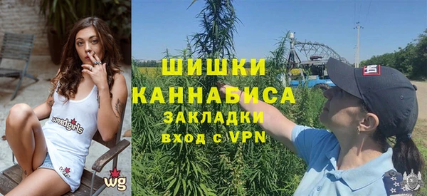 сатива Арсеньев