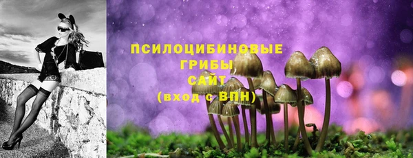 хмурый Балахна