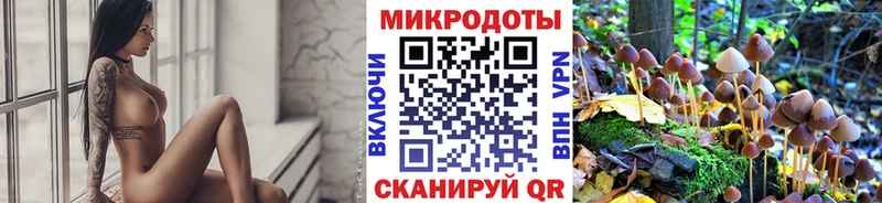 наркошоп  Ряжск  МЕГА зеркало  Псилоцибиновые грибы Psilocybe 